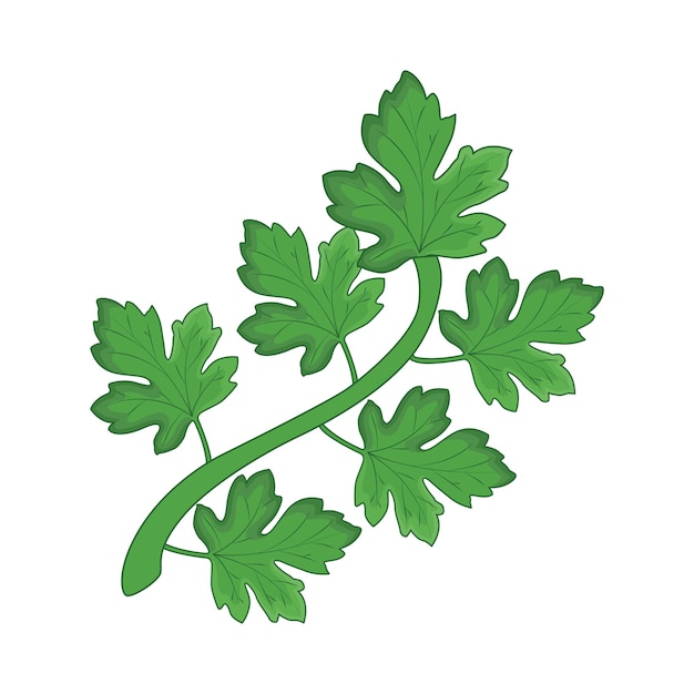 Ilustración de una hoja