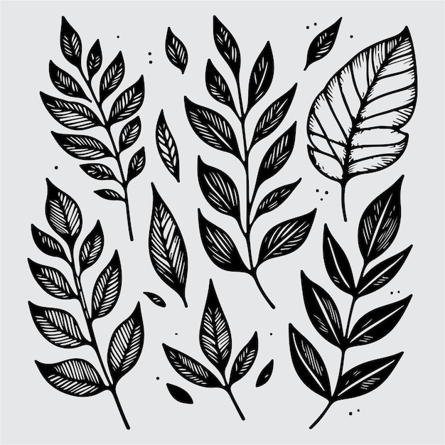Ilustración de las hojas dibujadas a mano