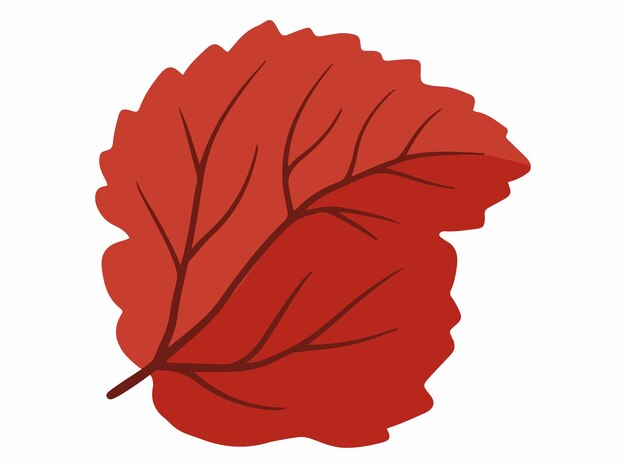 Vector ilustración de hojas de otoño dibujadas a mano