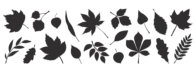 Ilustración de hojas de otoño negro