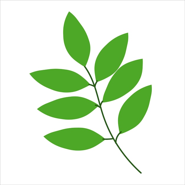 Ilustración de hojas de planta abstracta de vector