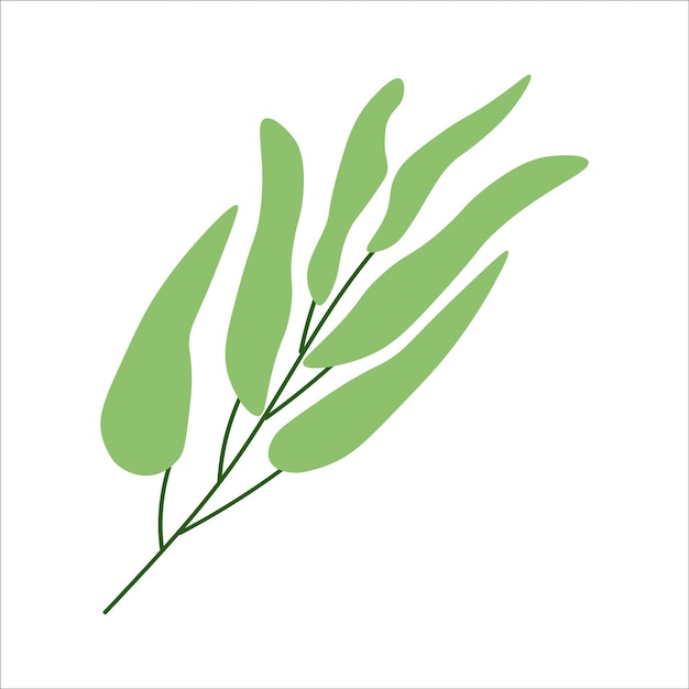 Ilustración de hojas de planta abstracta de vector