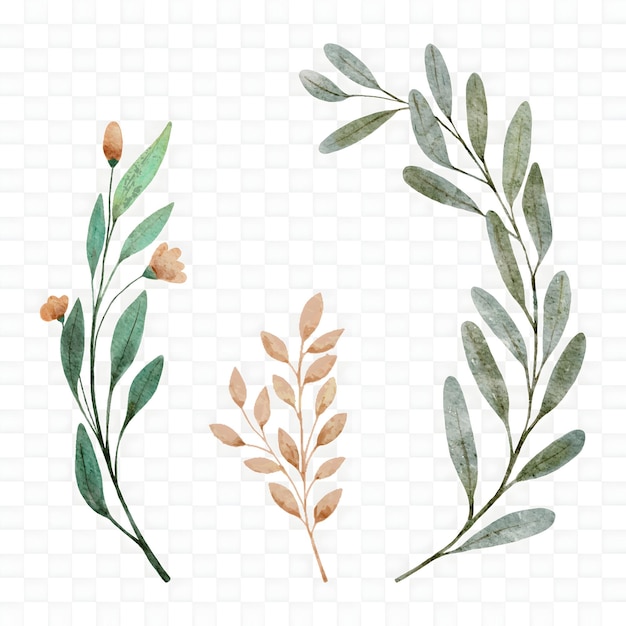 Ilustración de hojas y ramas florales en acuarela