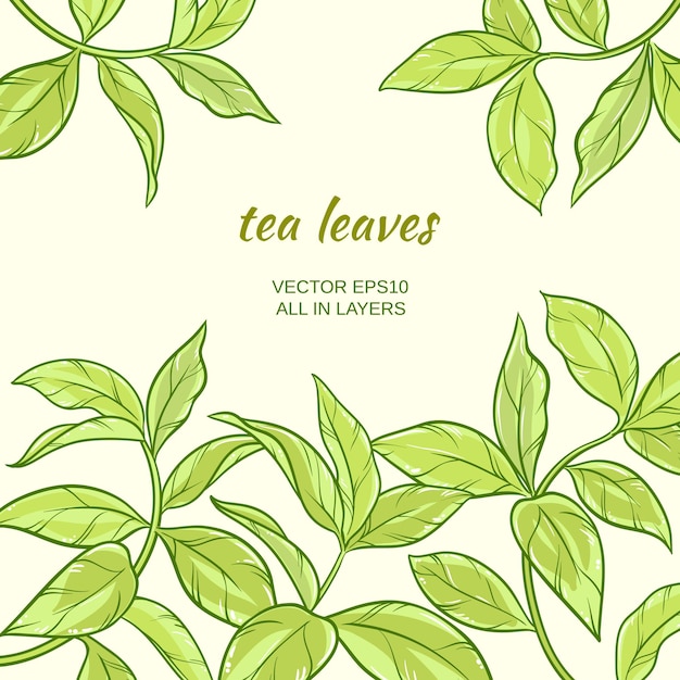 Ilustración con hojas de té verde sobre fondo de color