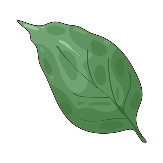 Ilustración de las hojas