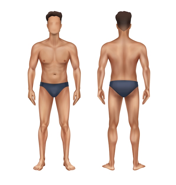 Vector ilustración de hombre desnudo de pie en plantilla de cuerpo masculino de baúles