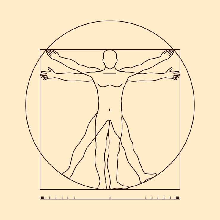 Vector ilustración del hombre de vitruvio