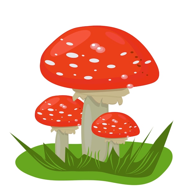 Vector ilustración de hongos que crecen en el bosque