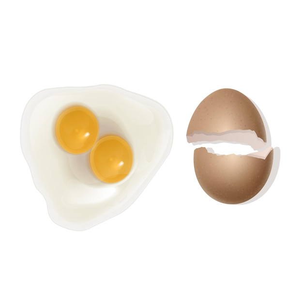Ilustración de huevo con dos yemas de huevo frito realista con una cáscara rota aislada en blanco