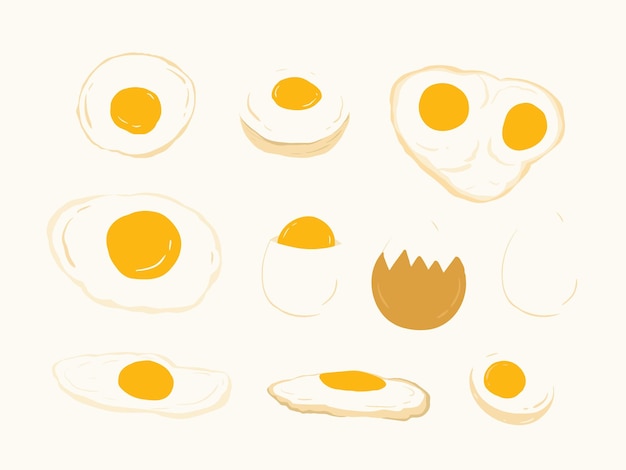 Una ilustración de huevos y una cáscara.