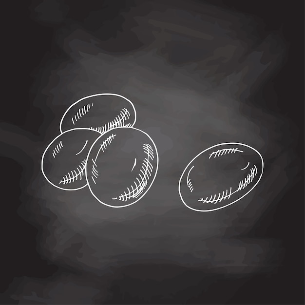 Ilustración de huevos dibujados a mano, imagen detallada de estilo retro, elemento de boceto vintage para etiquetas
