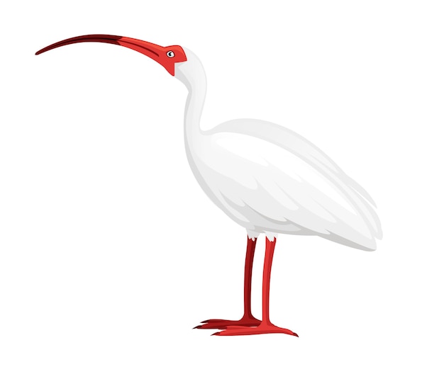 Ilustración de ibis blanco americano diseño de animales de dibujos animados vista lateral