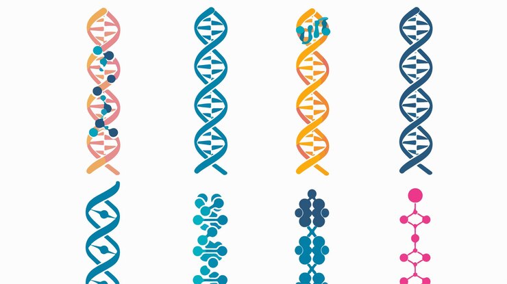 Vector ilustración del icono de adn símbolo de signo vectorial aislado