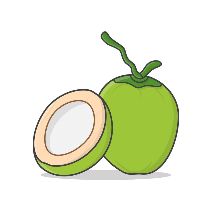 Vector ilustración de icono de coco verde entero y medio coco. icono de coco joven fresco