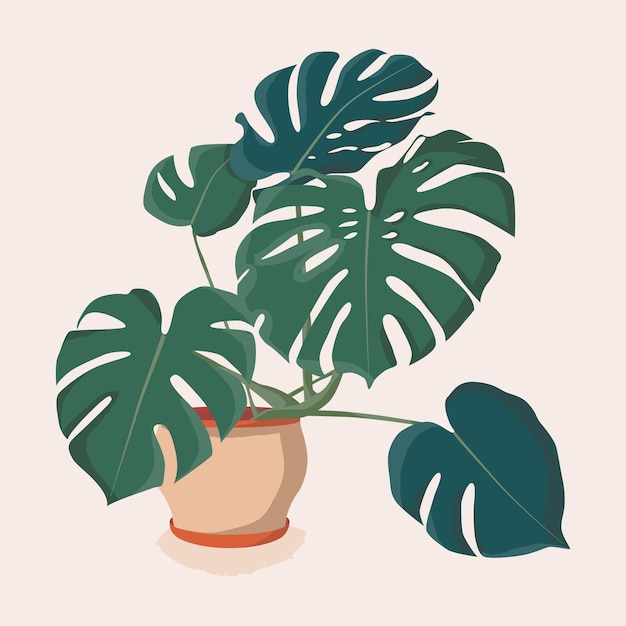 Vector ilustración de icono de dibujos animados de vector plano monstera de planta de casa aislada