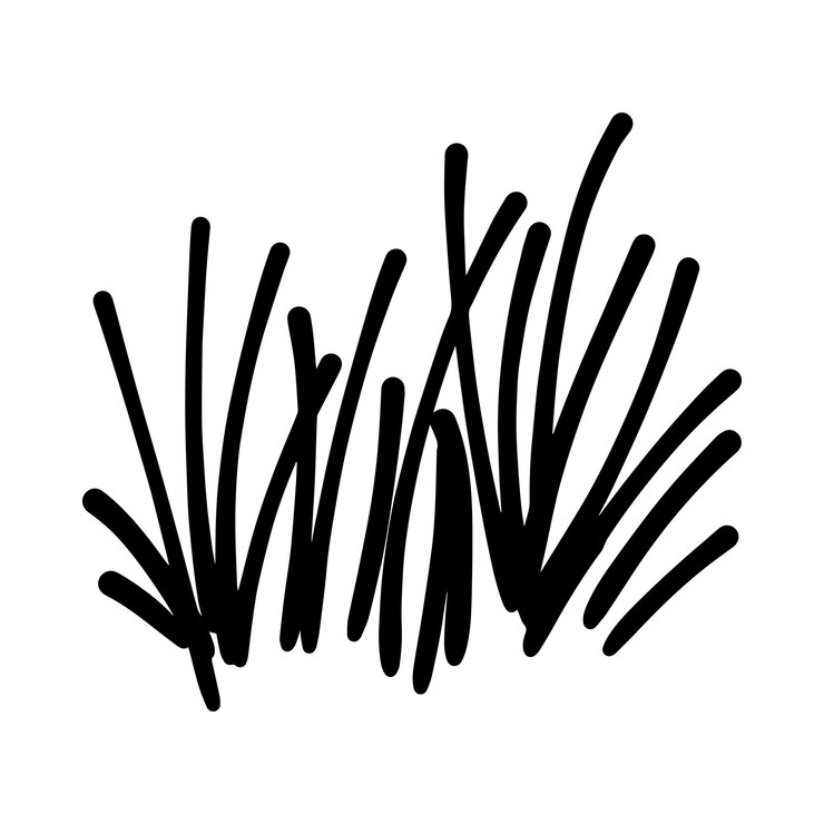 Vector ilustración del icono de la hierba dibujada a mano en diseño de estilo pincel de boceto y elemento de fondo