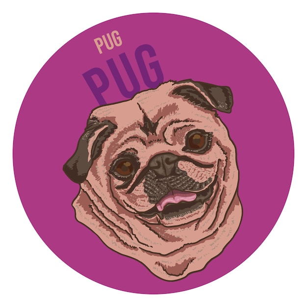 Vector ilustración del icono del perro pug