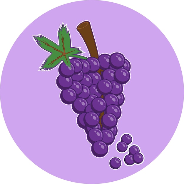 Ilustración y icono sencillo de pomelo