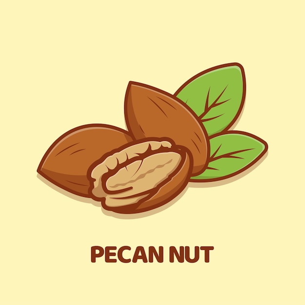 Ilustración de icono de vector de dibujos animados de nuez de pacana aislado