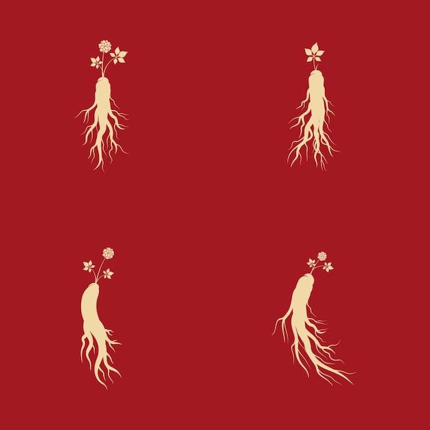 Ilustración de icono de vector de ginseng