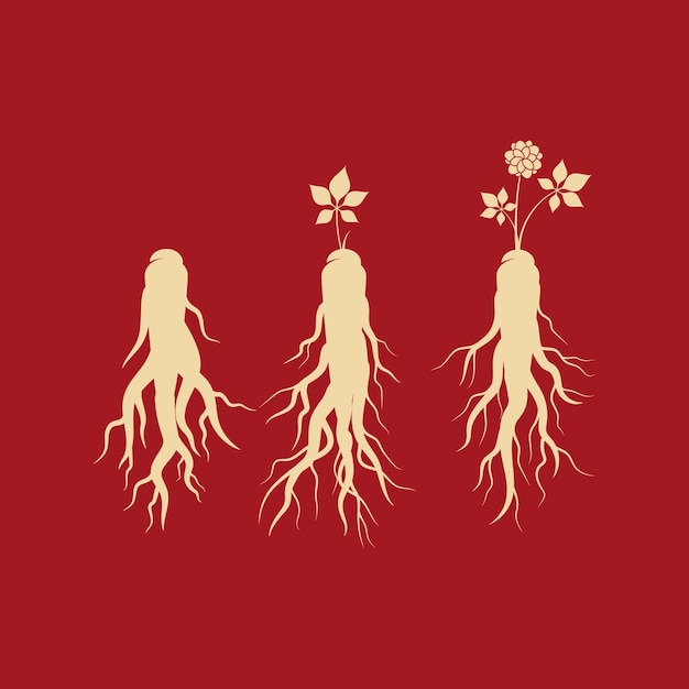 Ilustración de icono de vector de ginseng