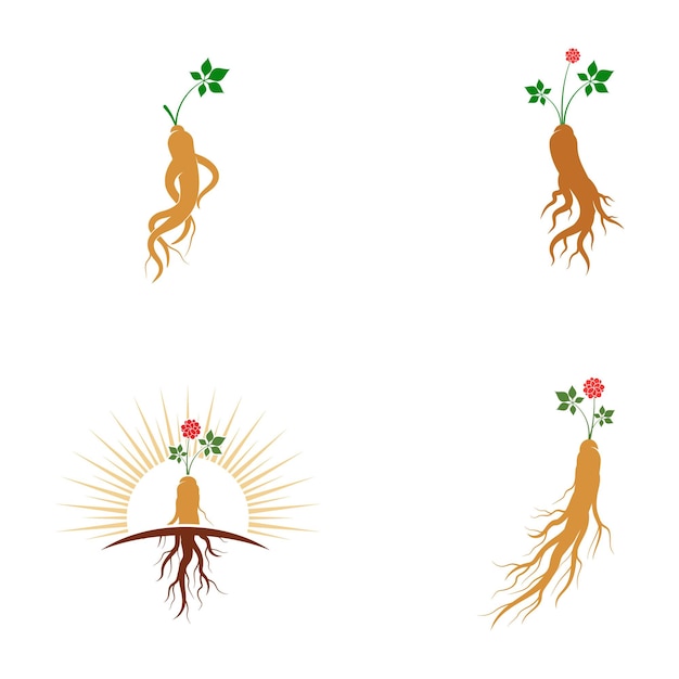 Ilustración de icono de vector de ginseng