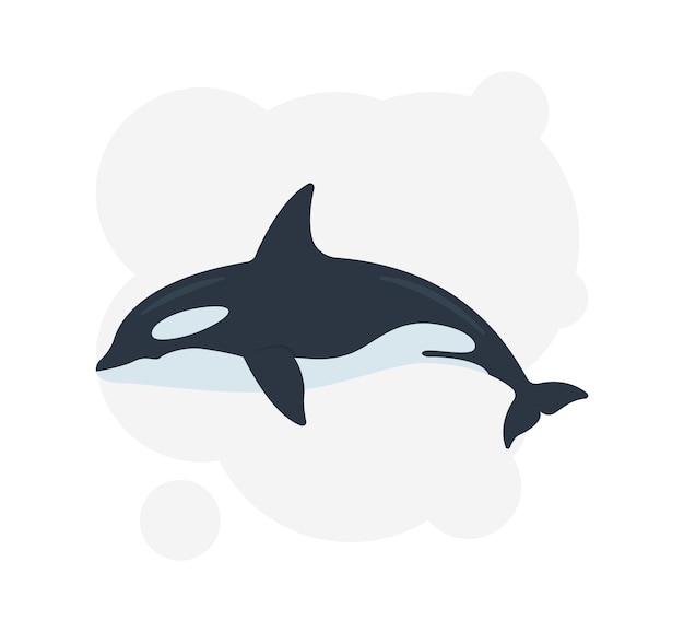 Ilustración de icono de vector de orca Icono de orca