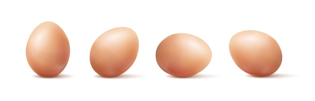 ilustración de icono de vector realista. Huevos orgánicos de color marrón en diferentes posiciones.