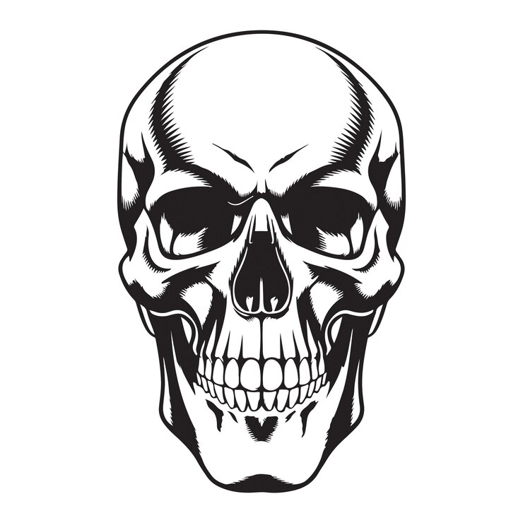 Ilustración del icono vectorial del cráneo humano