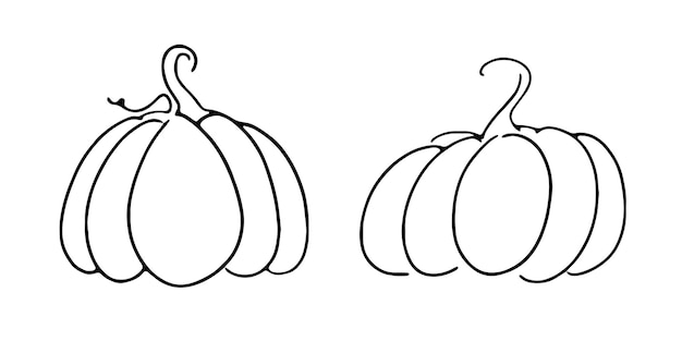 Vector ilustración de iconos de vector lineal de bosquejo simple dibujado a mano de calabazas de otoño