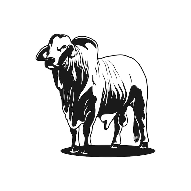 ilustración de imagen vectorial del logotipo de vaca brahman