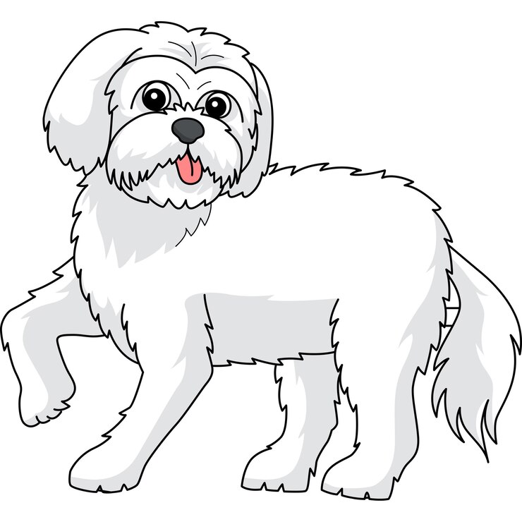 Vector ilustración de imágenes prediseñadas coloreadas de dibujos animados de perro maltés