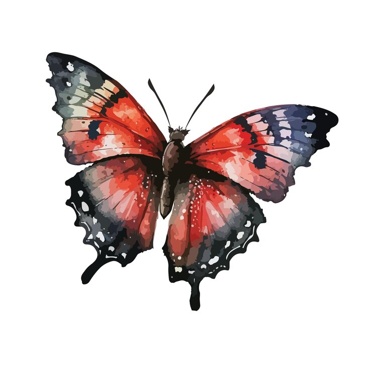 Ilustración de impresión vectorial de mariposa coloreada