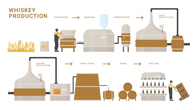 Ilustración de infografía del proceso de producción de whisky. Cartel de educación de información plana de dibujos animados de fermentación, destilación, envejecimiento y embotellado de alcohol whisky bebida botella producto aislado en blanco