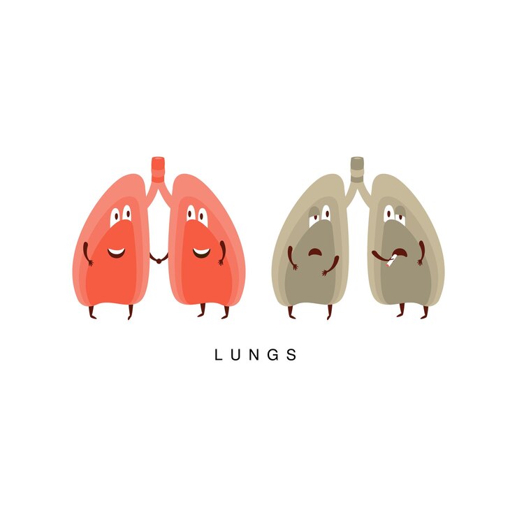 Vector ilustración infográfica de pulmones sanos vs no saludables