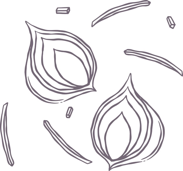 Ilustración de los ingredientes