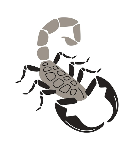 Ilustración de insecto escorpión