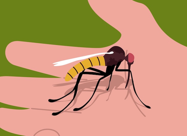 Ilustración de un insecto en la mano