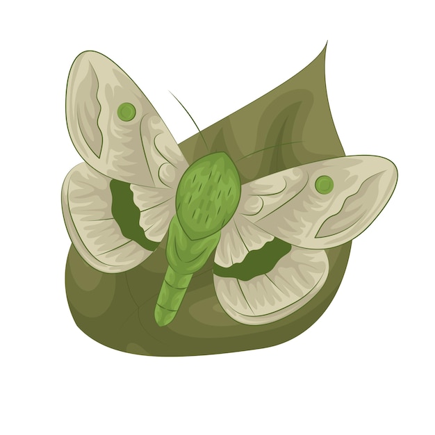Ilustración de un insecto