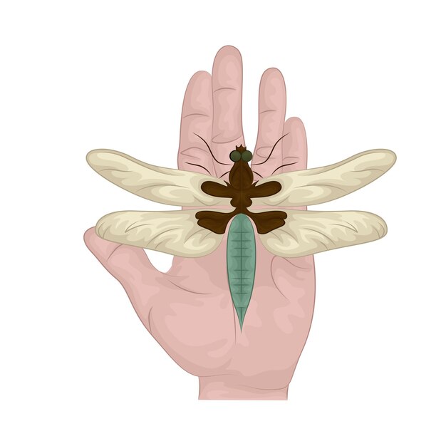 Vector ilustración de un insecto.