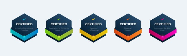 ilustración de la insignia de certificación empresarial financiera con forma hexagonal