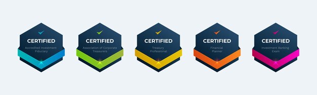 Ilustración de la insignia de certificación empresarial financiera con forma hexagonal