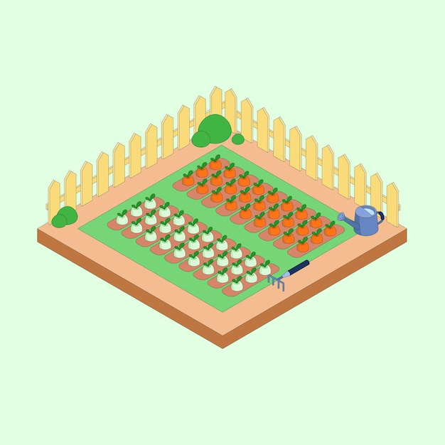 Vector ilustración isométrica de cultivo de zanahoria y rábano