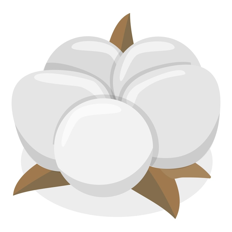 Vector ilustración isométrica plana vectorial 3d de la colección de flores de algodón artículo 1