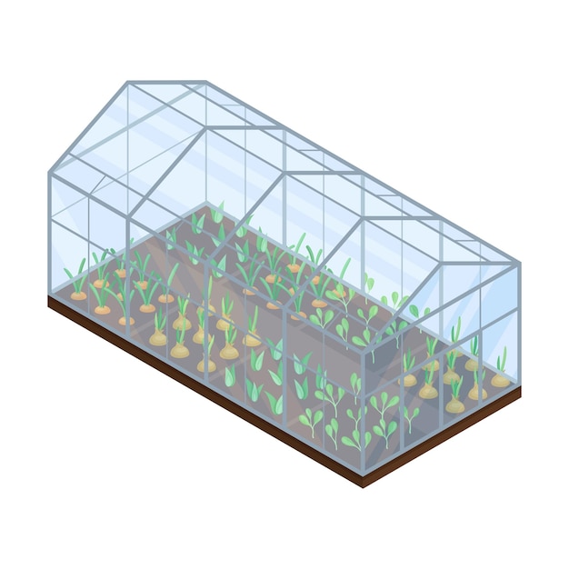 Ilustración isométrica vectorial de los cultivos agrícolas o hortalizas que crecen en el lecho de germinación