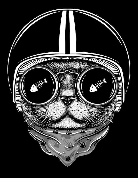 Vector ilustración de jinete de gato