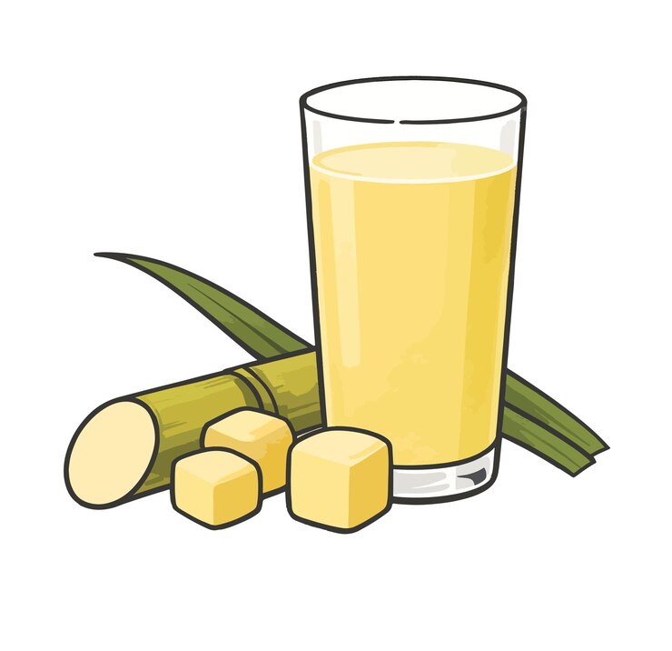Vector ilustración del jugo de caña de azúcar