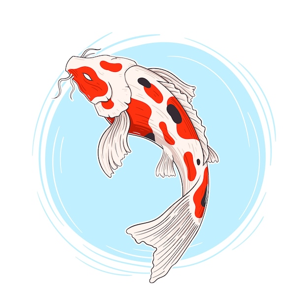 Vector ilustración de koi dibujado a mano