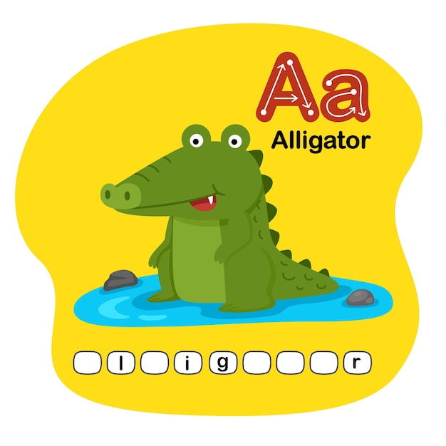 Ilustración de la letra del alfabeto animal aislado A Alligador