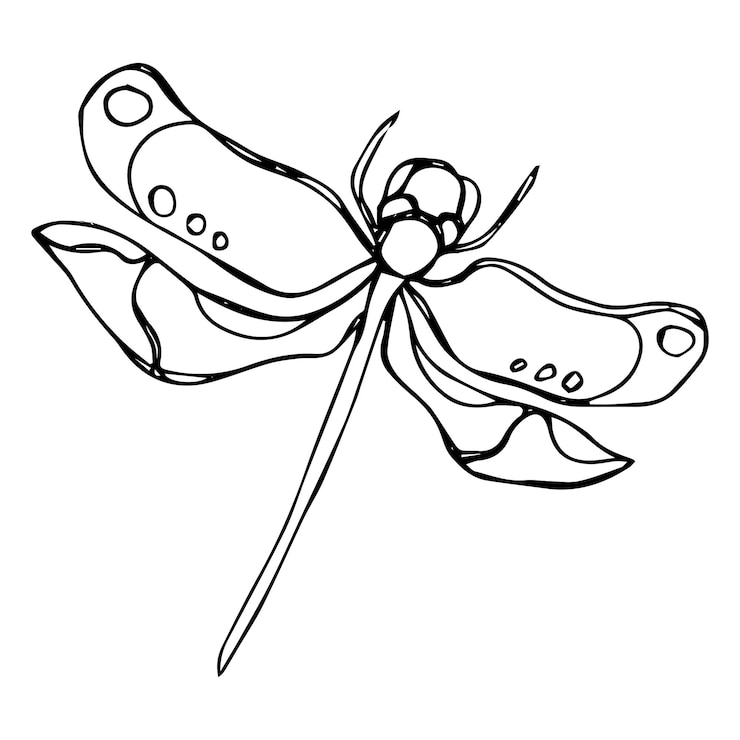Vector ilustración de libélula de contorno vectorial aislada en blanco. ilustración vectorial